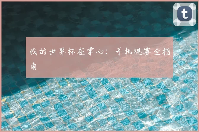 我的世界杯在掌心:手机观赛全指南