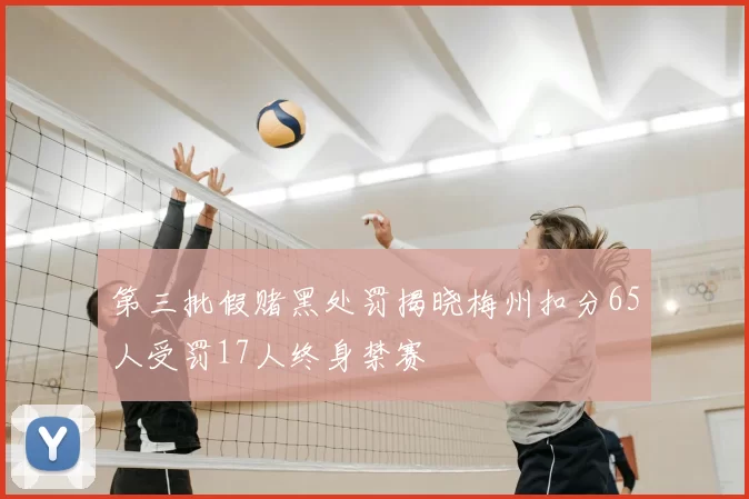 第三批假赌黑处罚揭晓梅州扣分65人受罚17人终身禁赛
