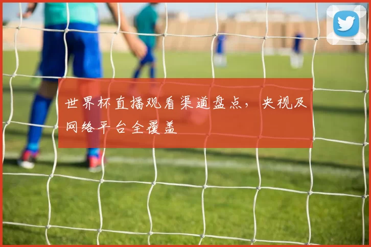 世界杯直播观看渠道盘点,央视及网络平台全覆盖