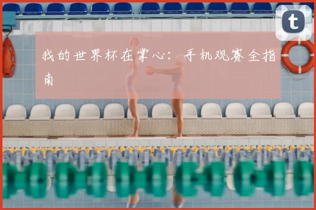 我的世界杯在掌心:手机观赛全指南