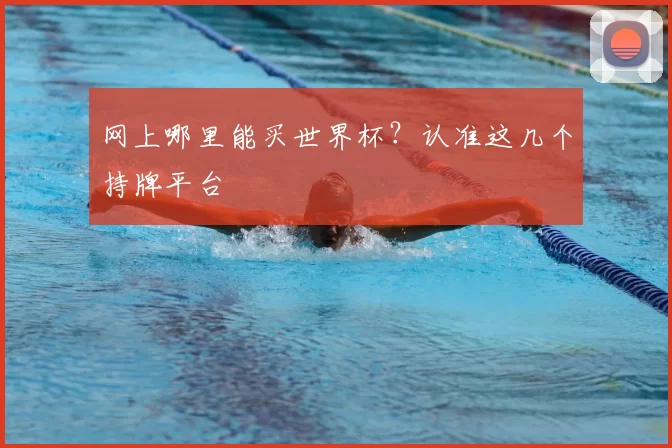 网上哪里能买世界杯？认准这几个持牌平台