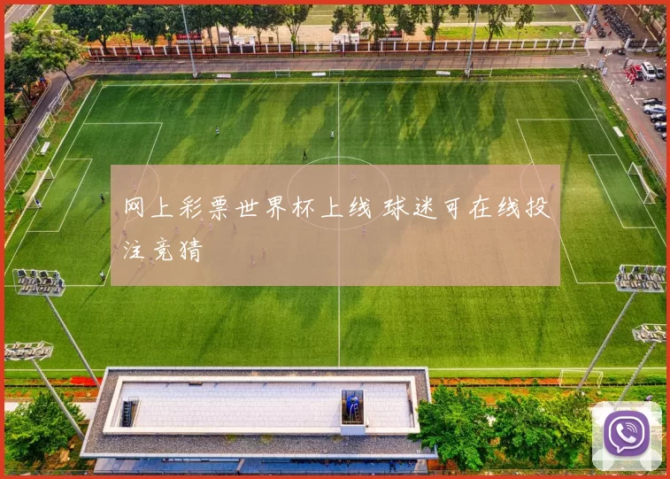 网上彩票世界杯上线 球迷可在线投注竞猜