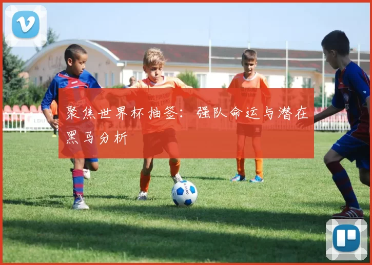 聚焦世界杯抽签:强队命运与潜在黑马分析