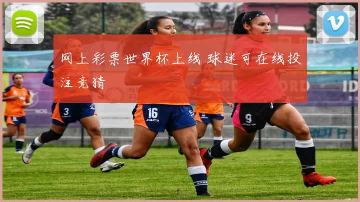 网上彩票世界杯上线 球迷可在线投注竞猜