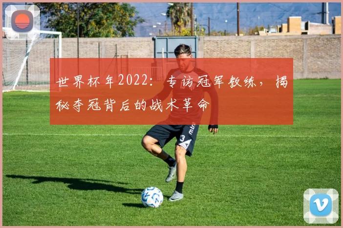世界杯年2022：专访冠军教练，揭秘夺冠背后的战术革命